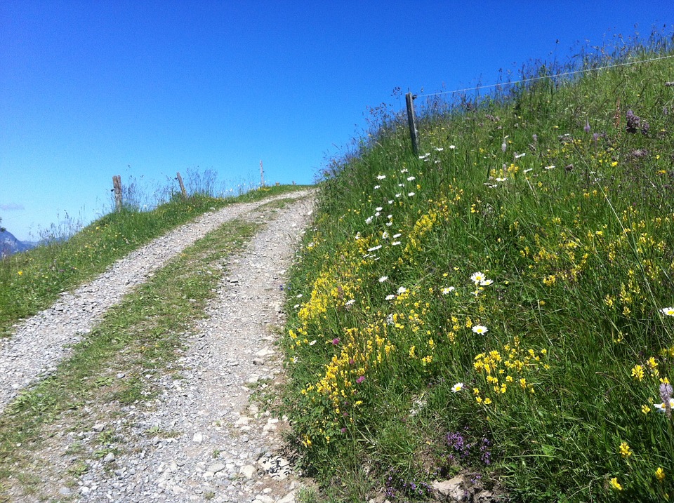 Hiking trails in Val di Cornia